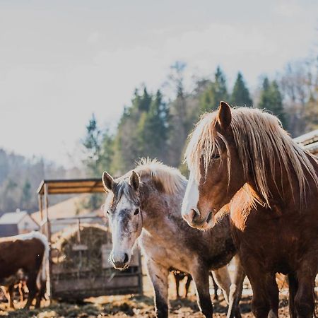 Farm stay Žurej Šentjur Zewnętrze zdjęcie